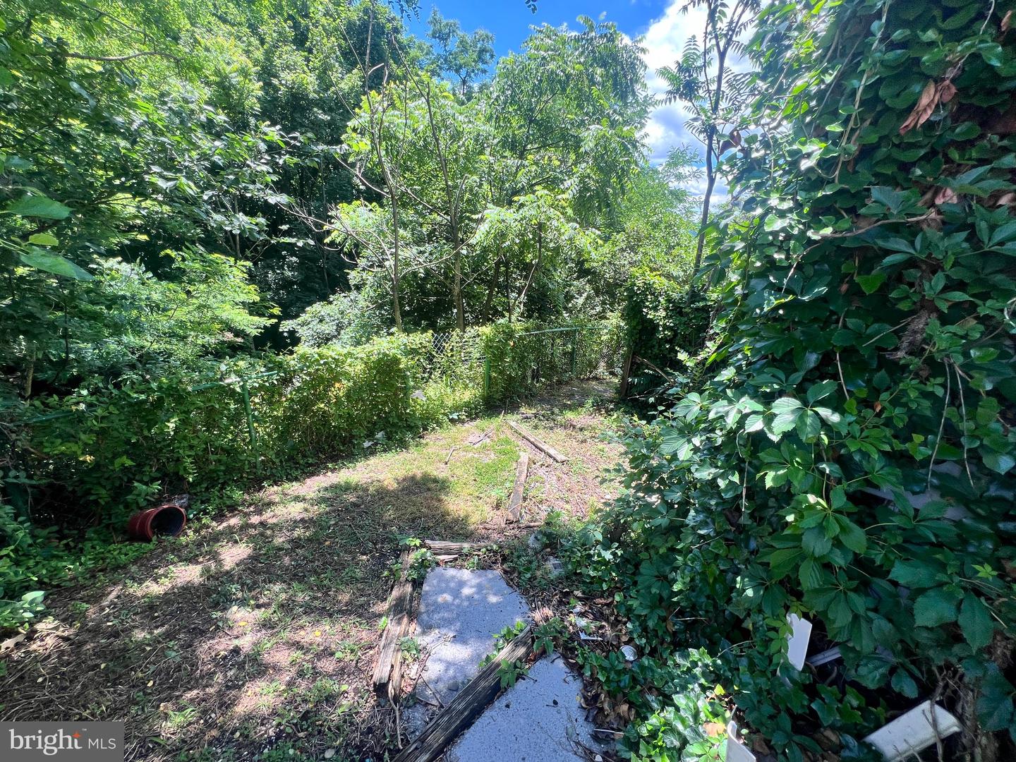 11 W View Ter Property Photo 18