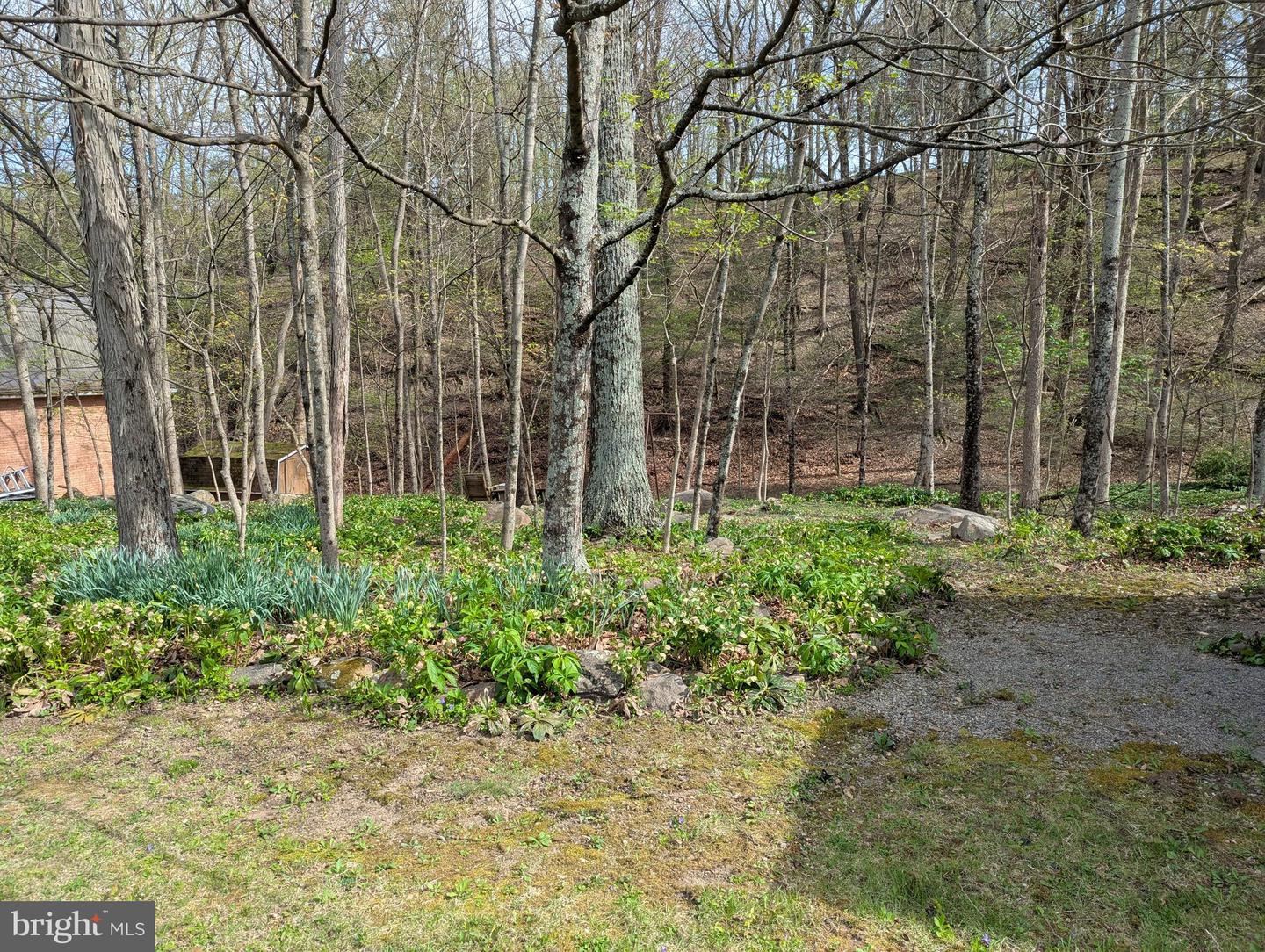 12802 Gramlich Rd Sw Property Photo 8