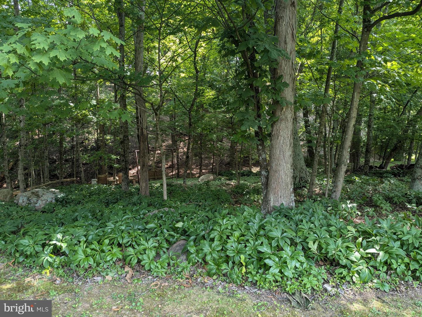 12802 Gramlich Rd Sw Property Photo 17
