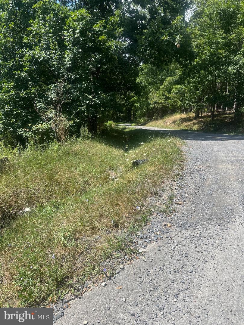 Log Trail Rd Property Photo 1