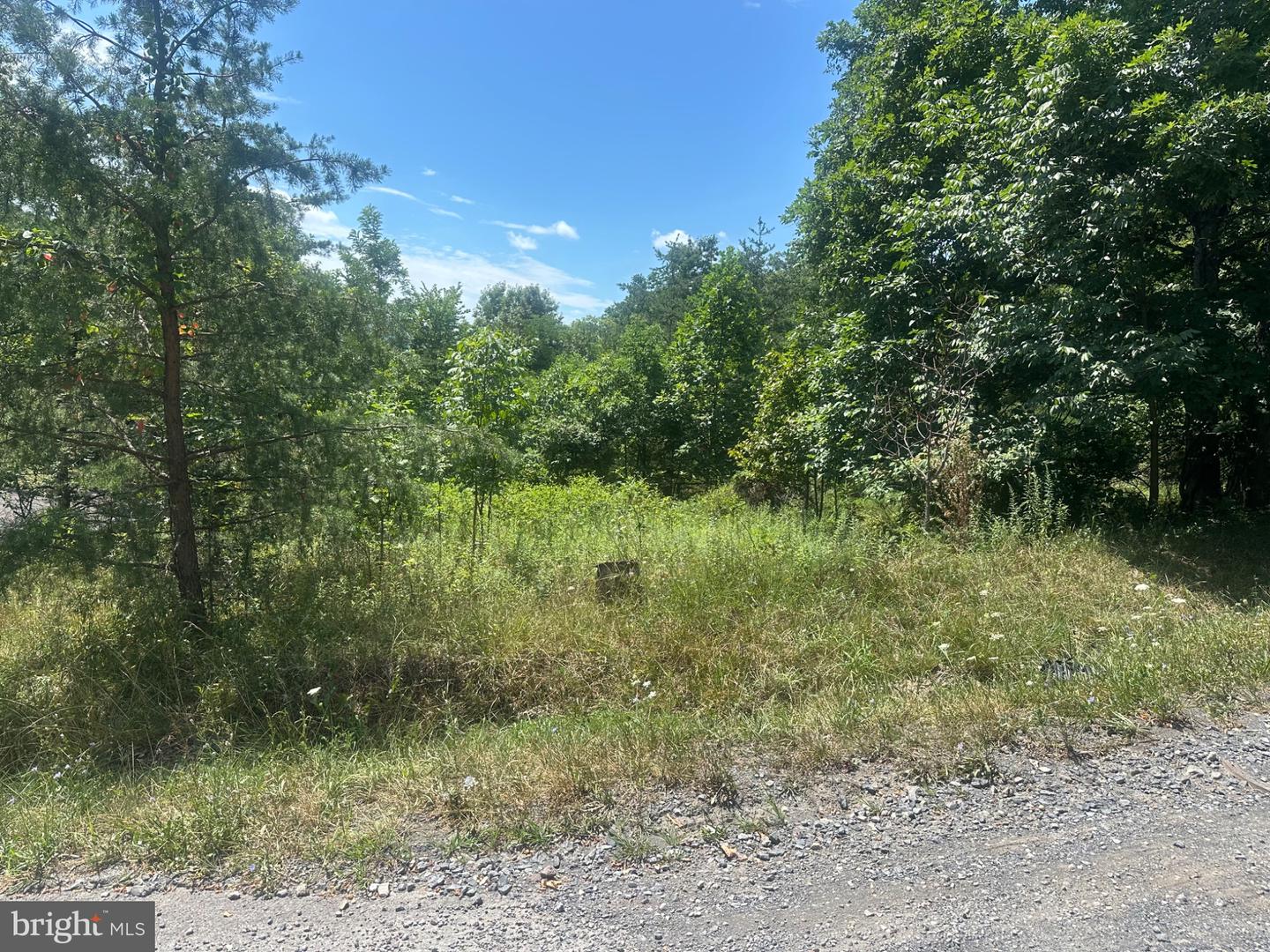 Log Trail Rd Property Photo 2