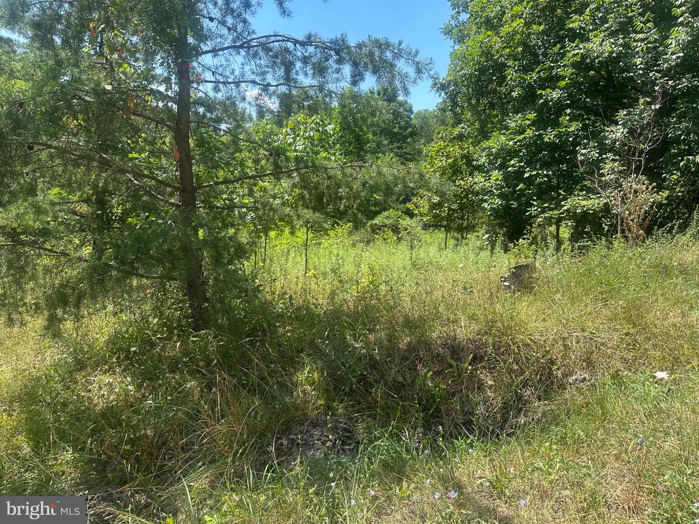Log Trail Rd Property Photo 3