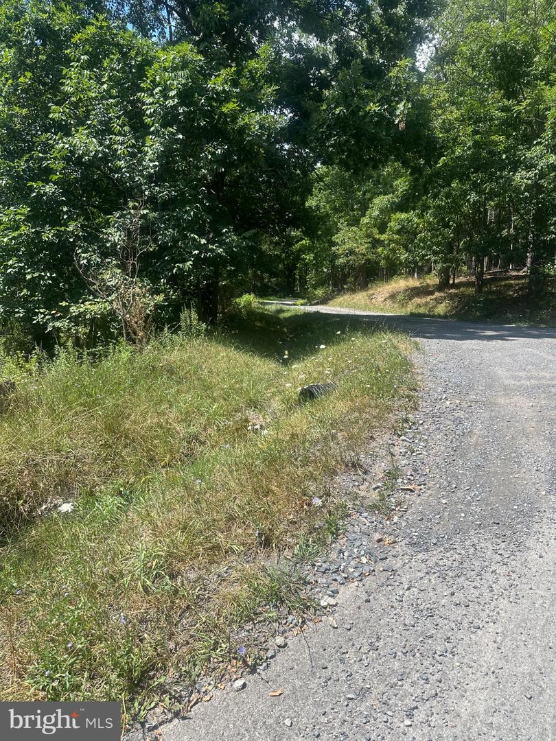 Log Trail Rd Property Photo 4