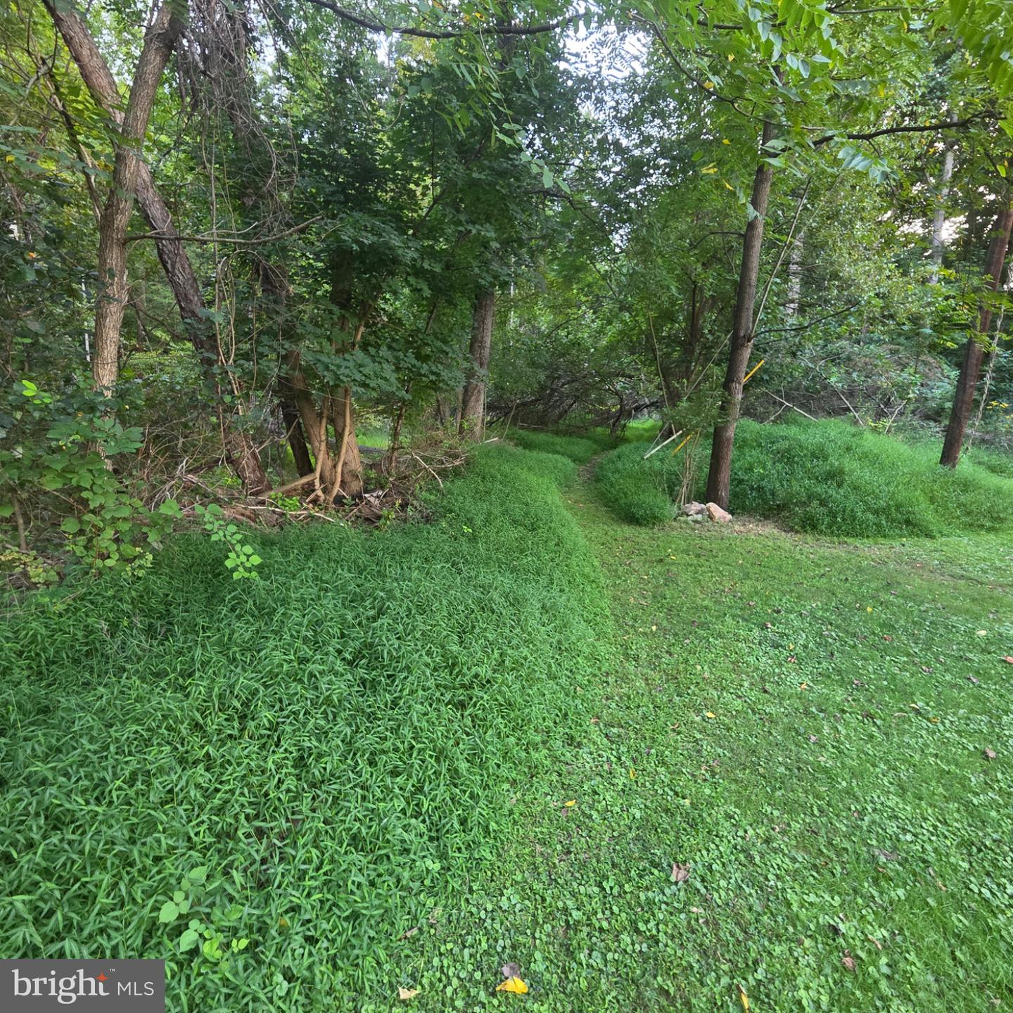 122 Mustaphal Dr Property Photo 3
