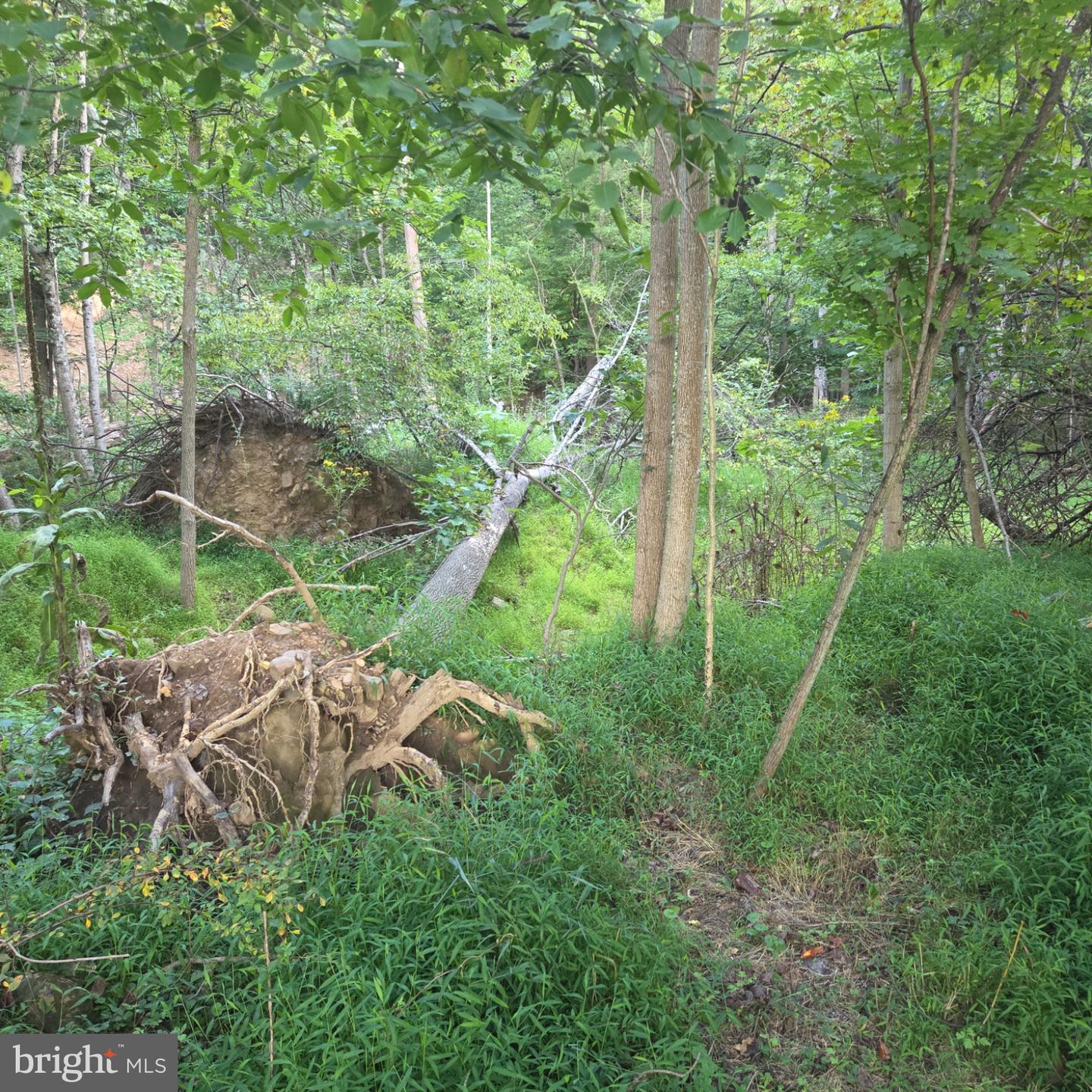 122 Mustaphal Dr Property Photo 5