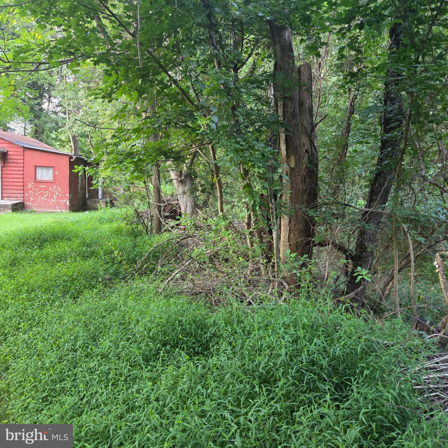 122 Mustaphal Dr Property Photo 8