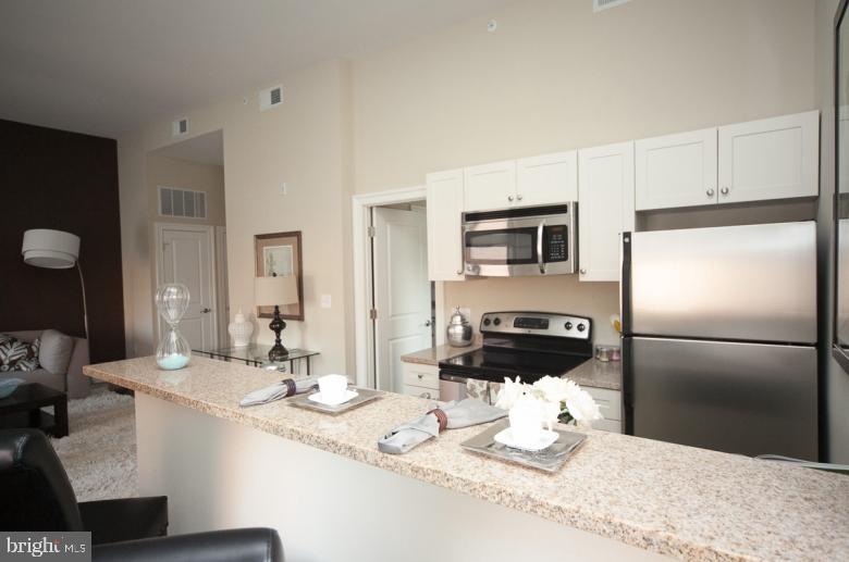 1304 Saint Paul Street #2br Property Photo 17