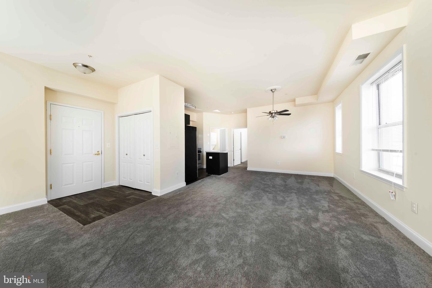 1123 N Eutaw St #2br Property Photo 31