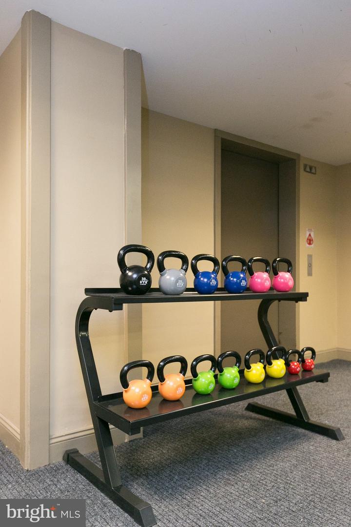 519 W Pratt St #1br Property Photo 19