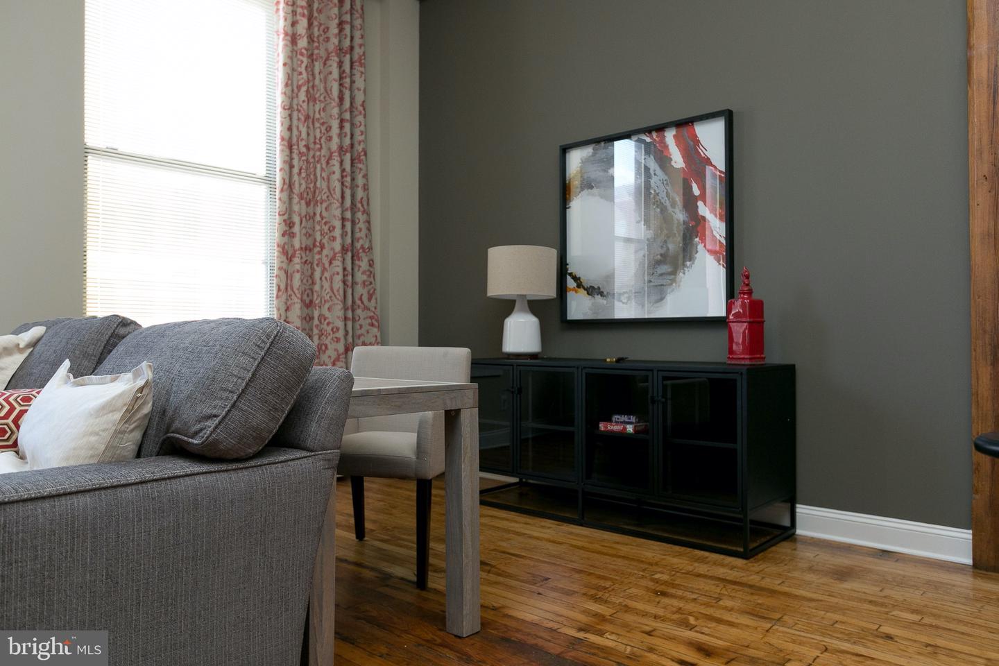 519 W Pratt St #1br Property Photo 29