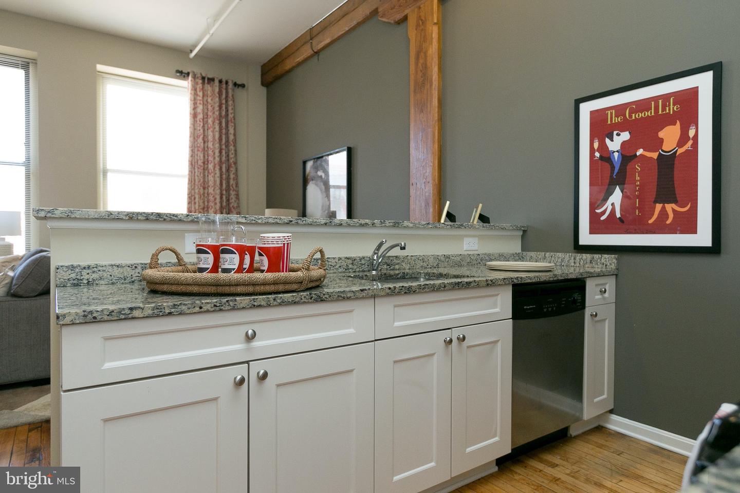 519 W Pratt St #1br Property Photo 32