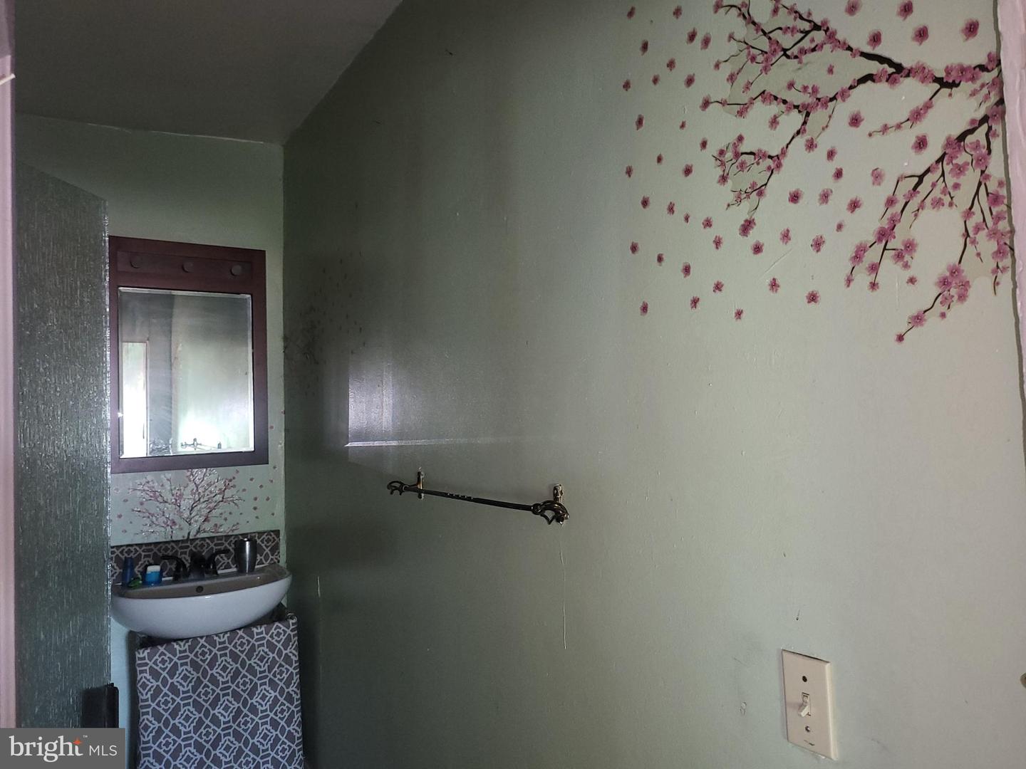 425 E Preston St Property Photo 23