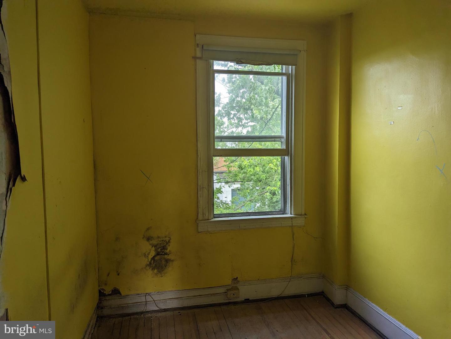 3957 Wilsby Ave Property Photo 19