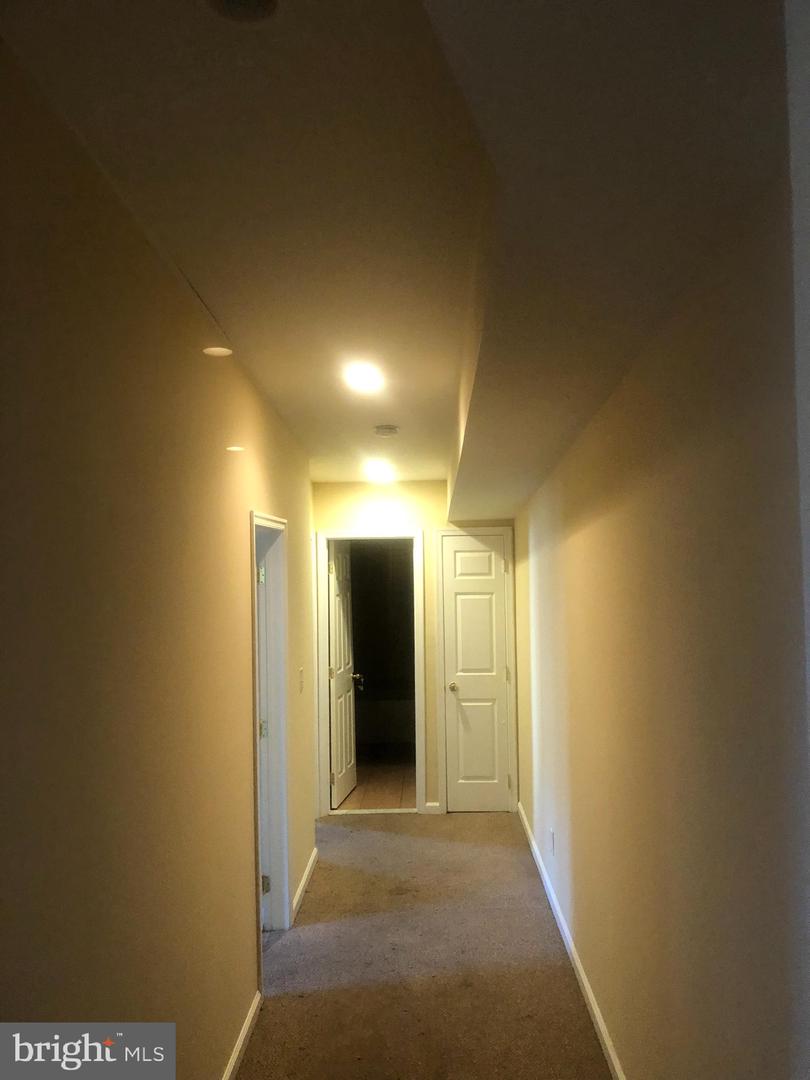 1242 W Lombard St Property Photo 42