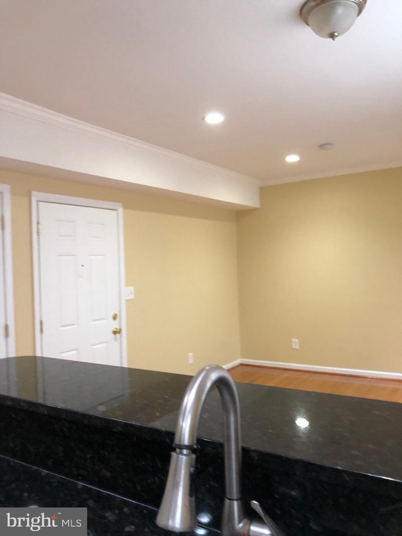 1242 W Lombard St Property Photo 55