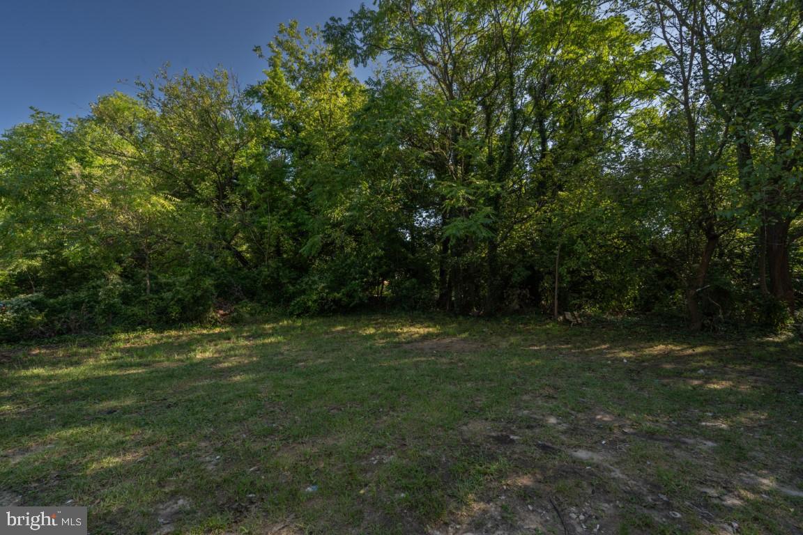 5600 Govane Ave Property Photo 10