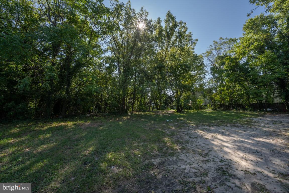 5600 Govane Ave Property Photo 11
