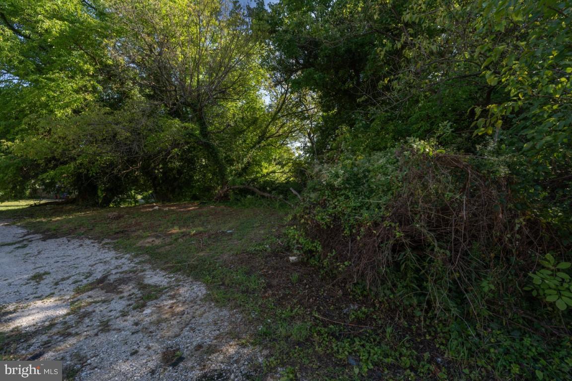 5600 Govane Ave Property Photo 12