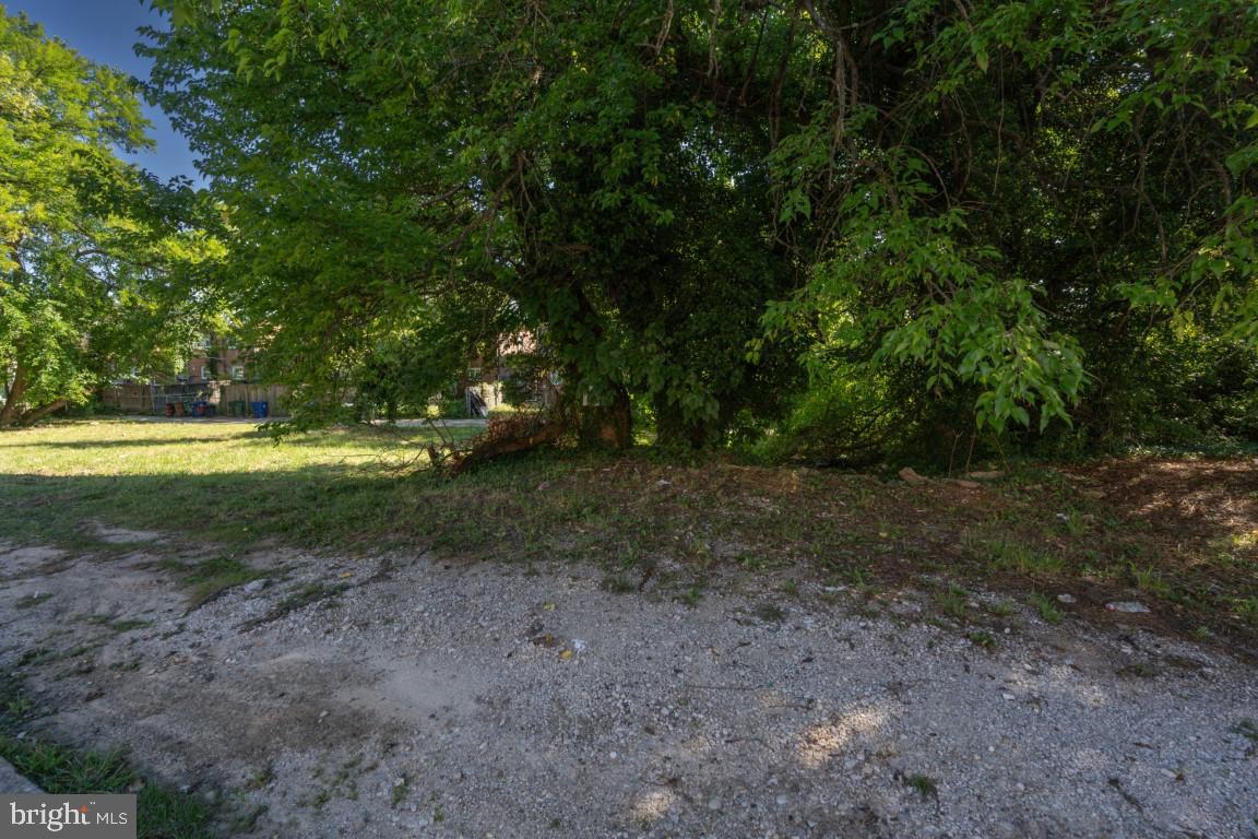 5600 Govane Ave Property Photo 13