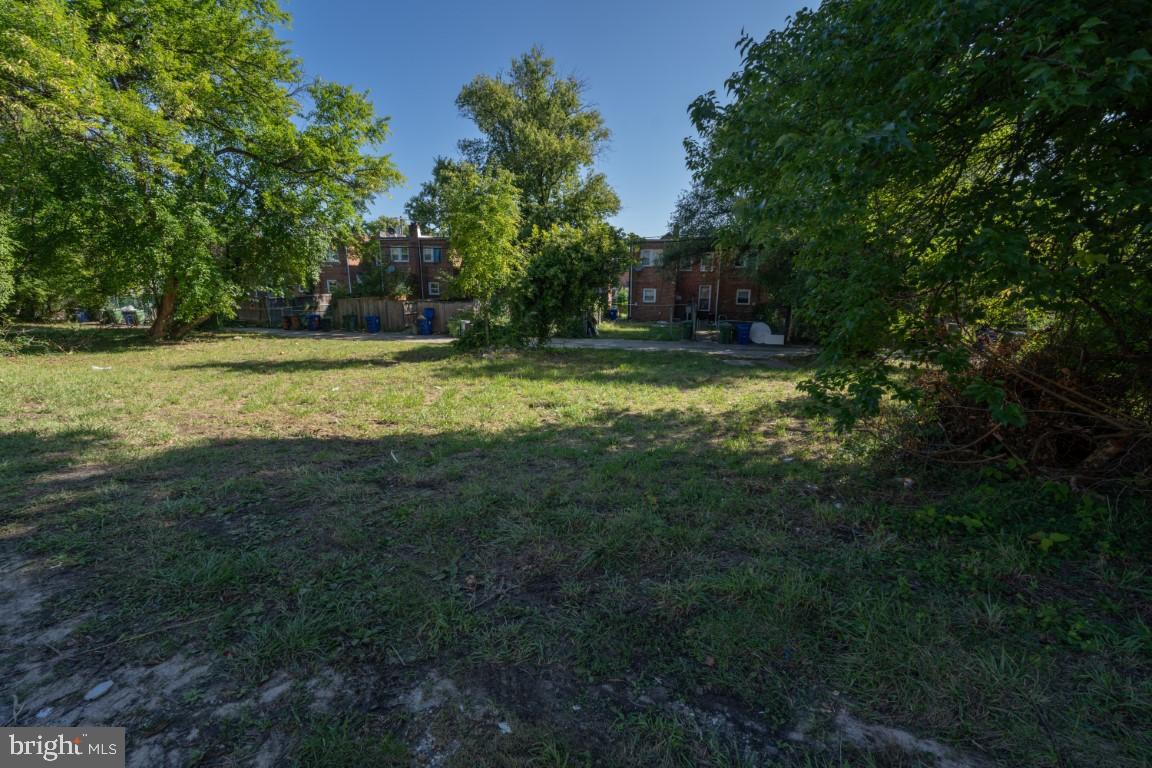 5600 Govane Ave Property Photo 14