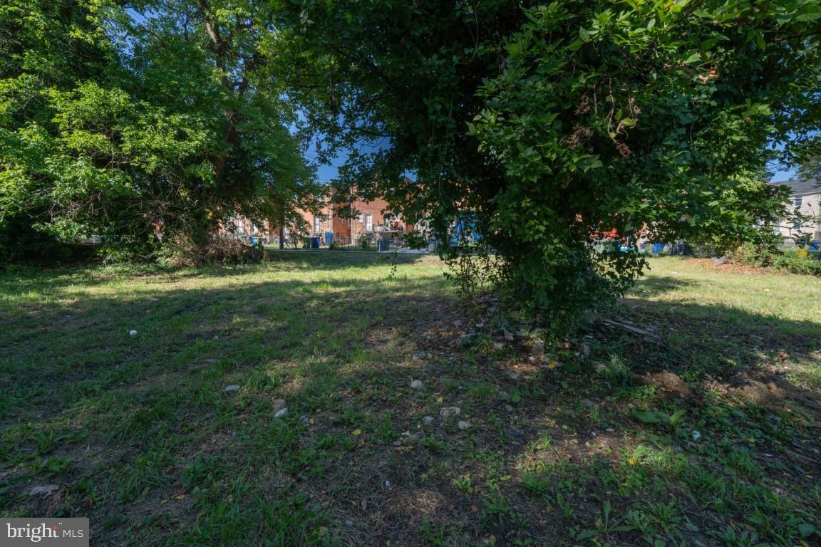 5600 Govane Ave Property Photo 16
