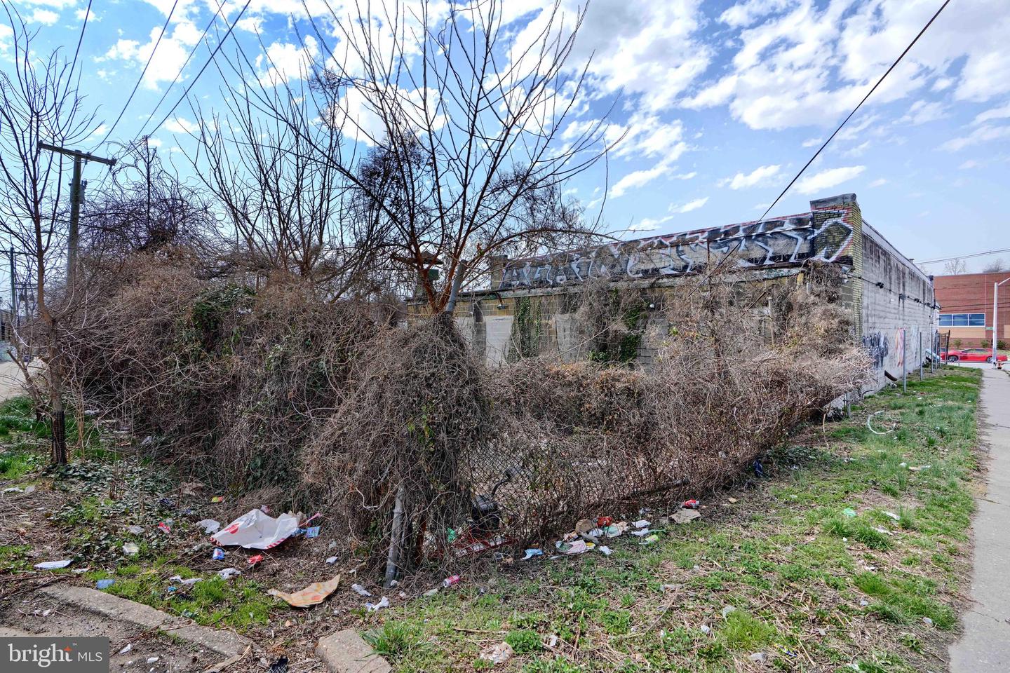 2267 Kirk Ave Property Photo 4
