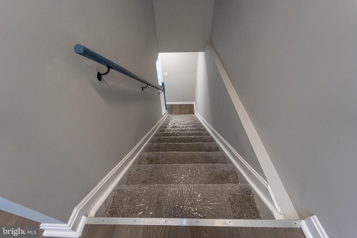 1528 Druid Hill Ave Property Photo 45