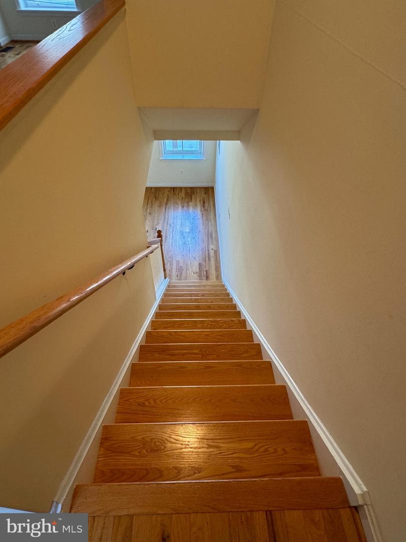 1637 Fleet St Property Photo 14