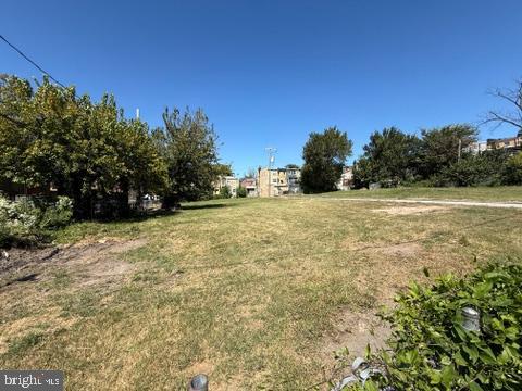 1718 Lorman St Property Photo 15