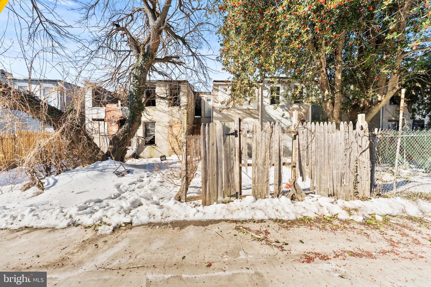 1109 N Carrollton Ave Property Photo 15