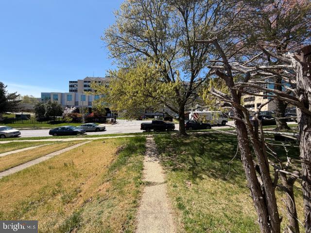 1536 E Belvedere Ave Property Photo 4