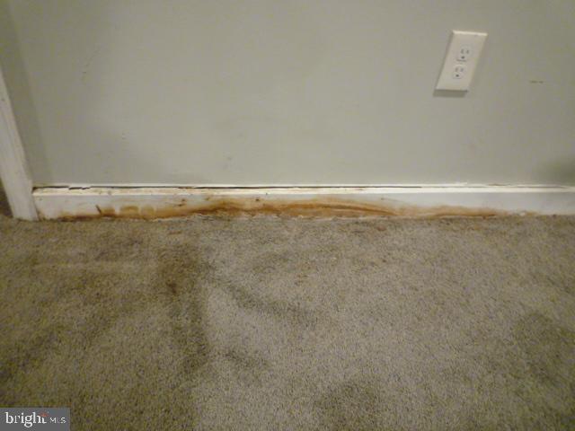 5118 Harford Rd Property Photo 36