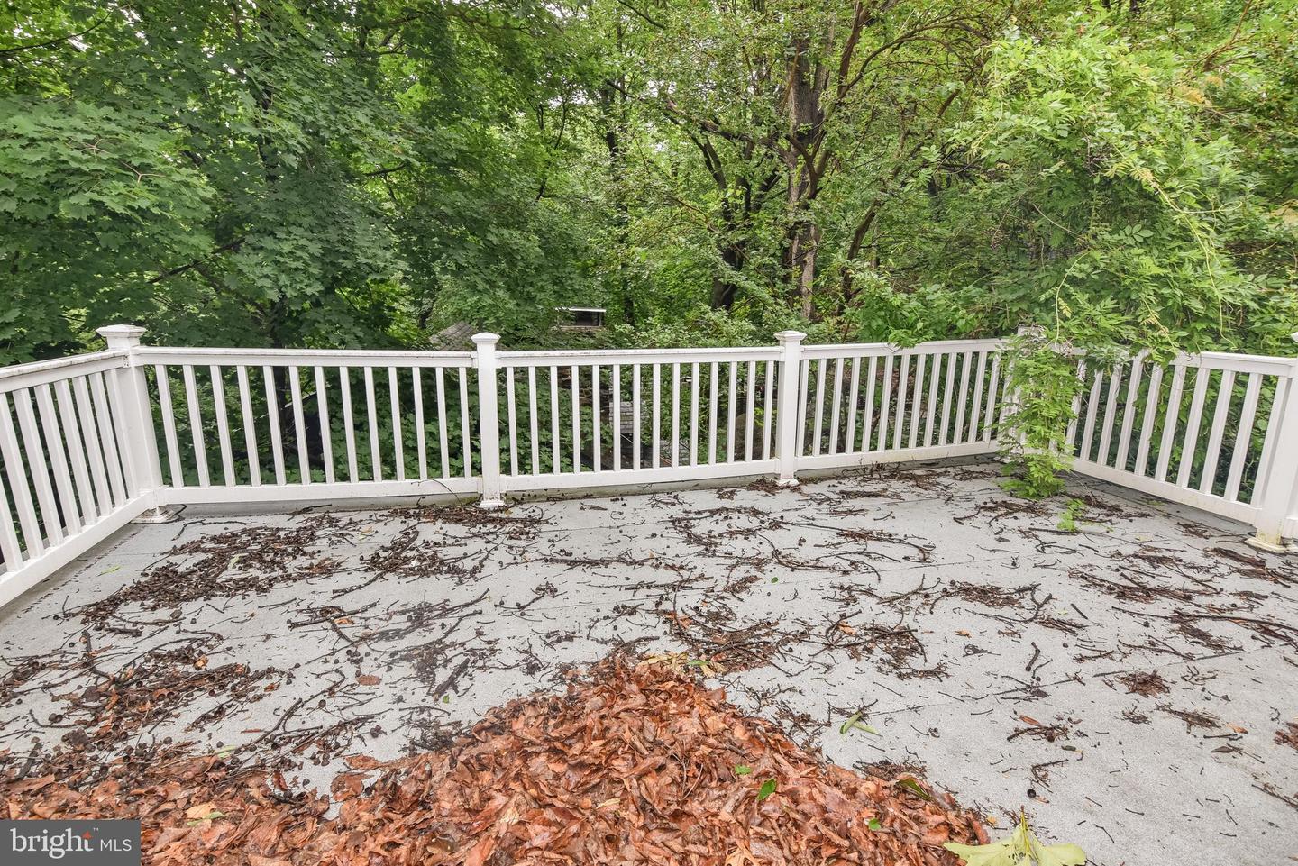 24 Merrymount Rd Property Photo 35