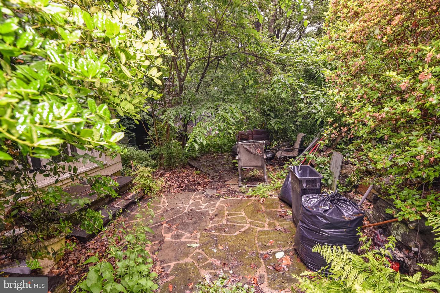 24 Merrymount Rd Property Photo 44