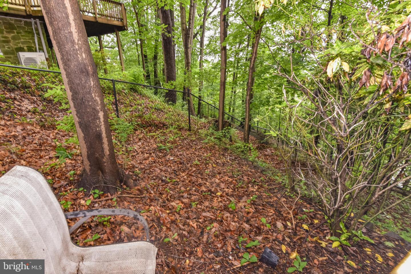 24 Merrymount Rd Property Photo 46