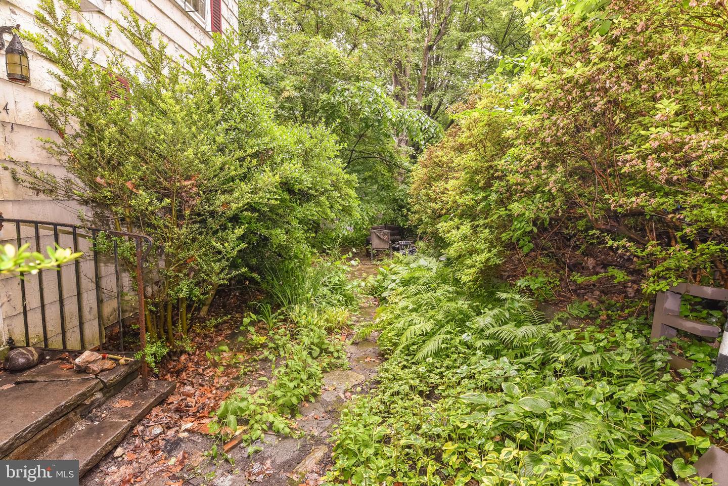 24 Merrymount Rd Property Photo 47