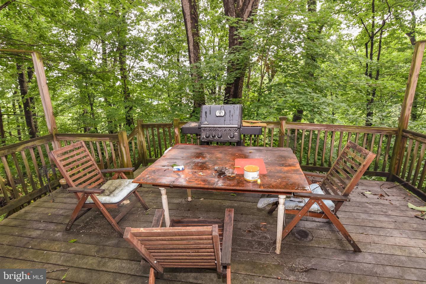 24 Merrymount Rd Property Photo 48