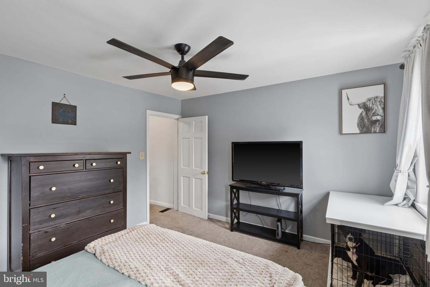 2223 Fleet St Property Photo 22