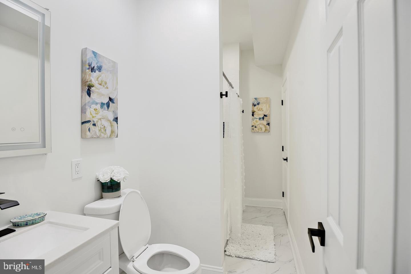 2024 Druid Hill Ave Property Photo 15