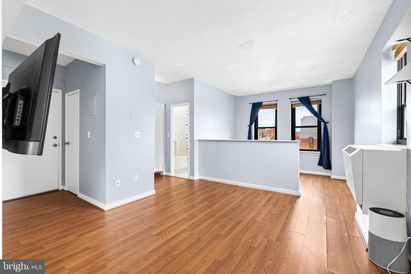 1001 Saint Paul St #8b Property Photo 5