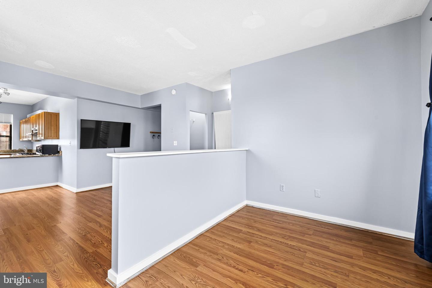 1001 Saint Paul St #8b Property Photo 9