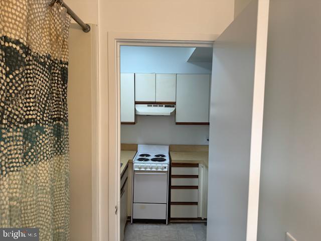 1001 Saint Paul St #2j Property Photo 7