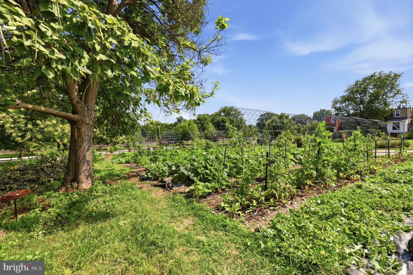 1314 Homewood Ave Property Photo 27