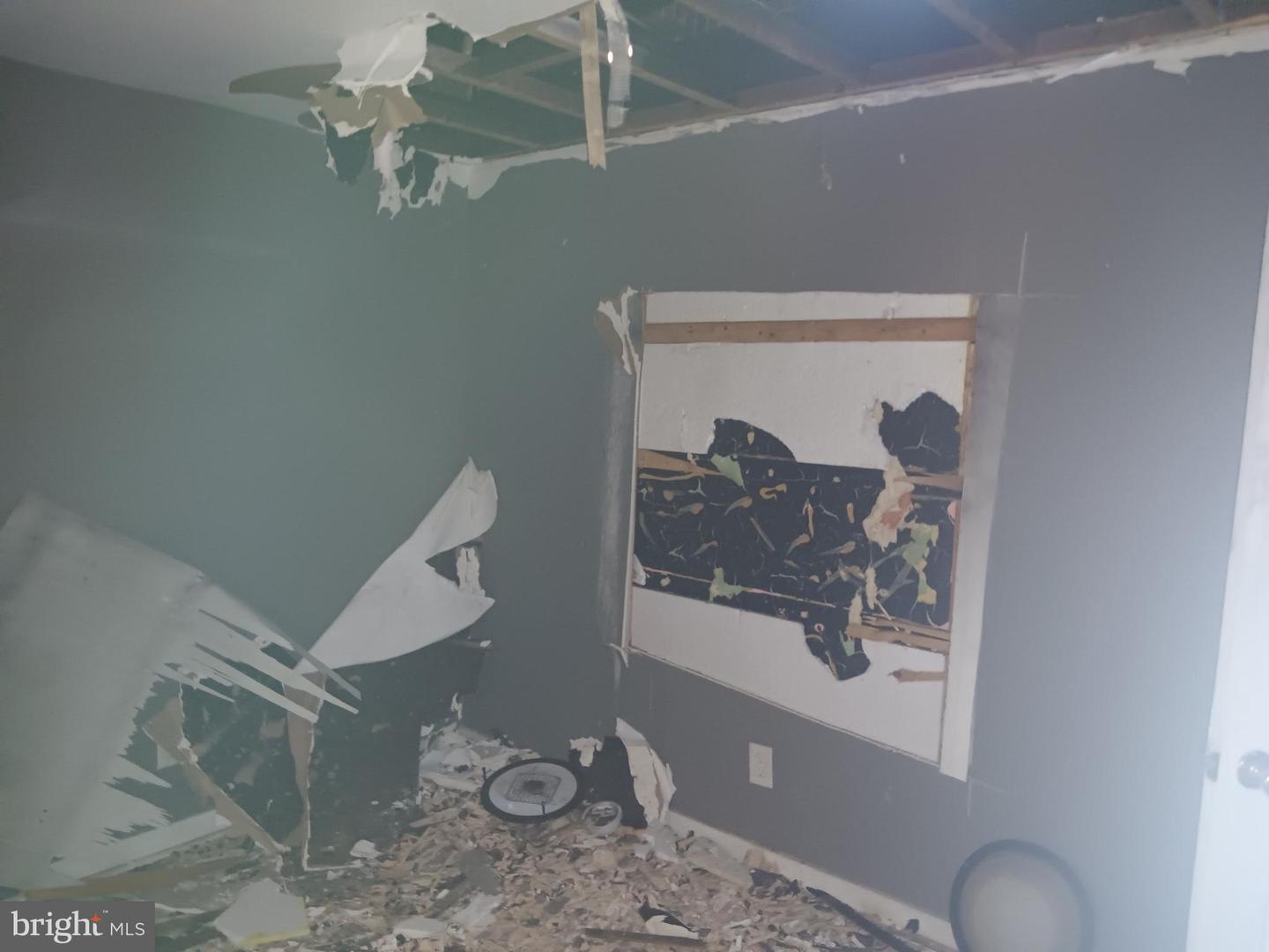 2103 Wilhelm St Property Photo 5