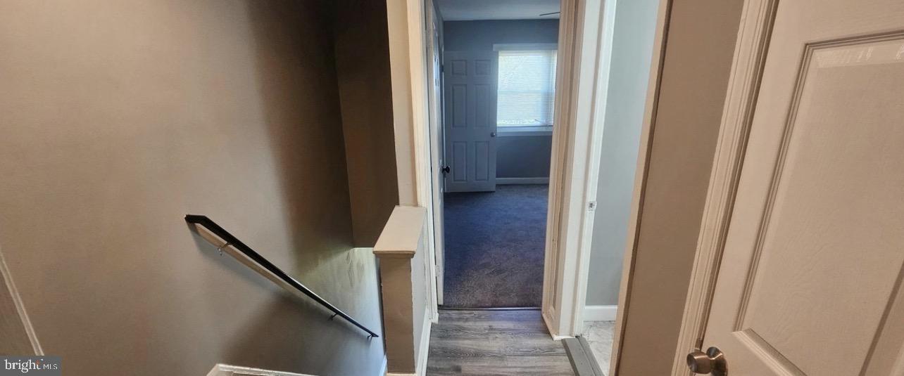 4017 Pimlico Rd Property Photo 9