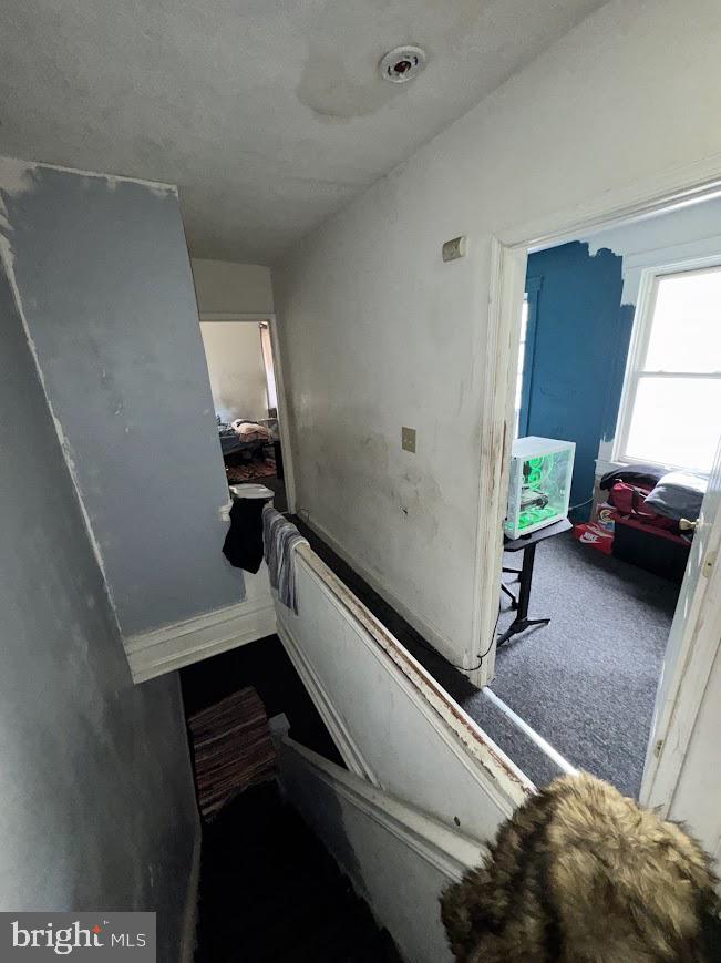 1411 N Rosedale St Property Photo 24
