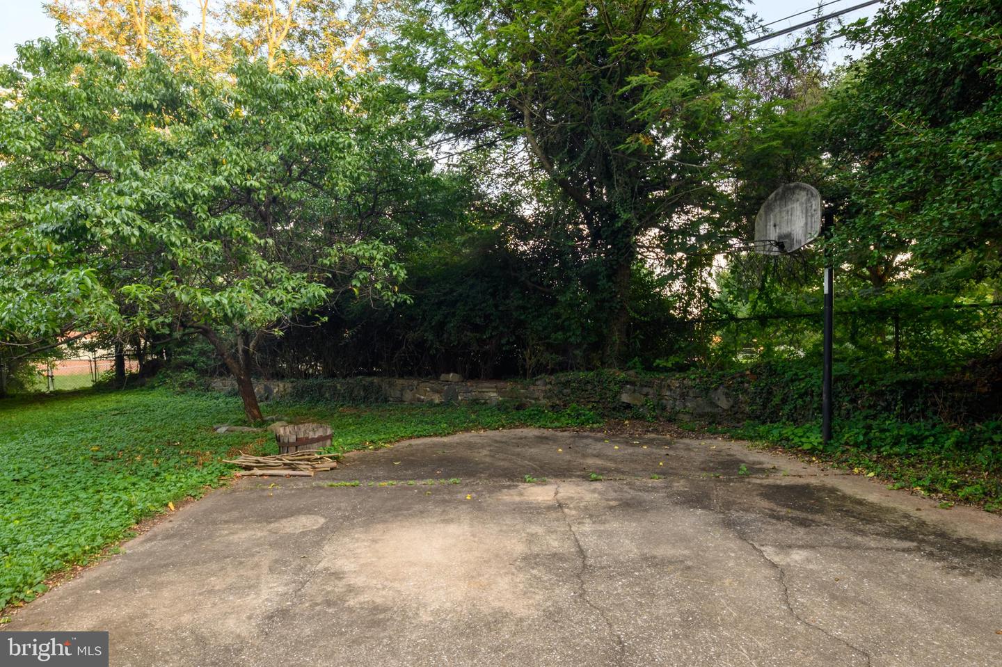 306 Kingston Rd Property Photo 39