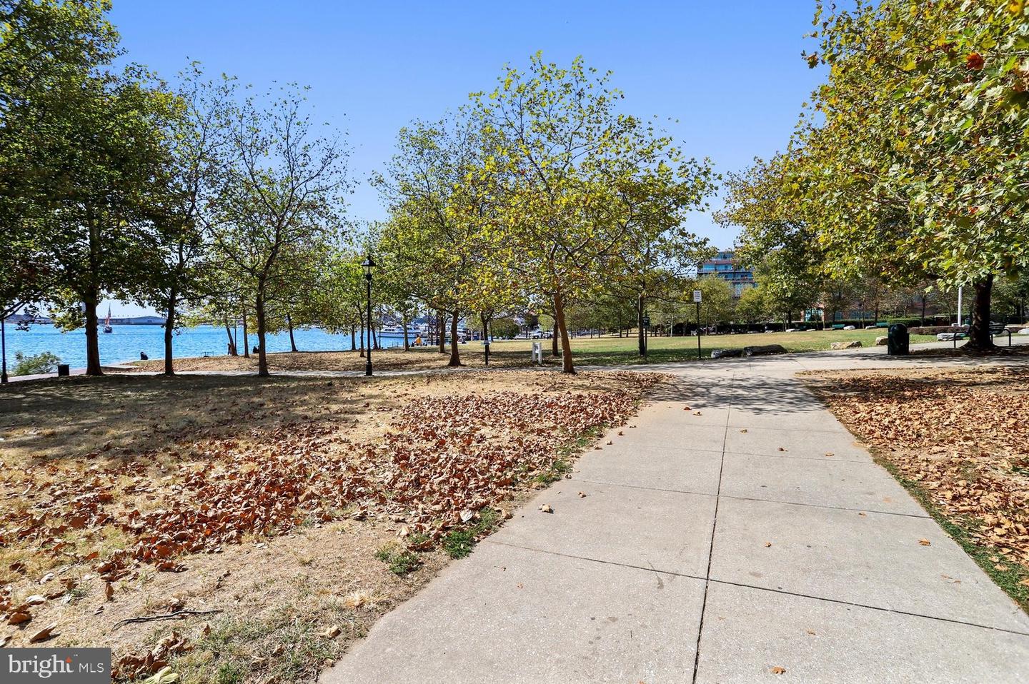 2106 Fleet St Property Photo 53