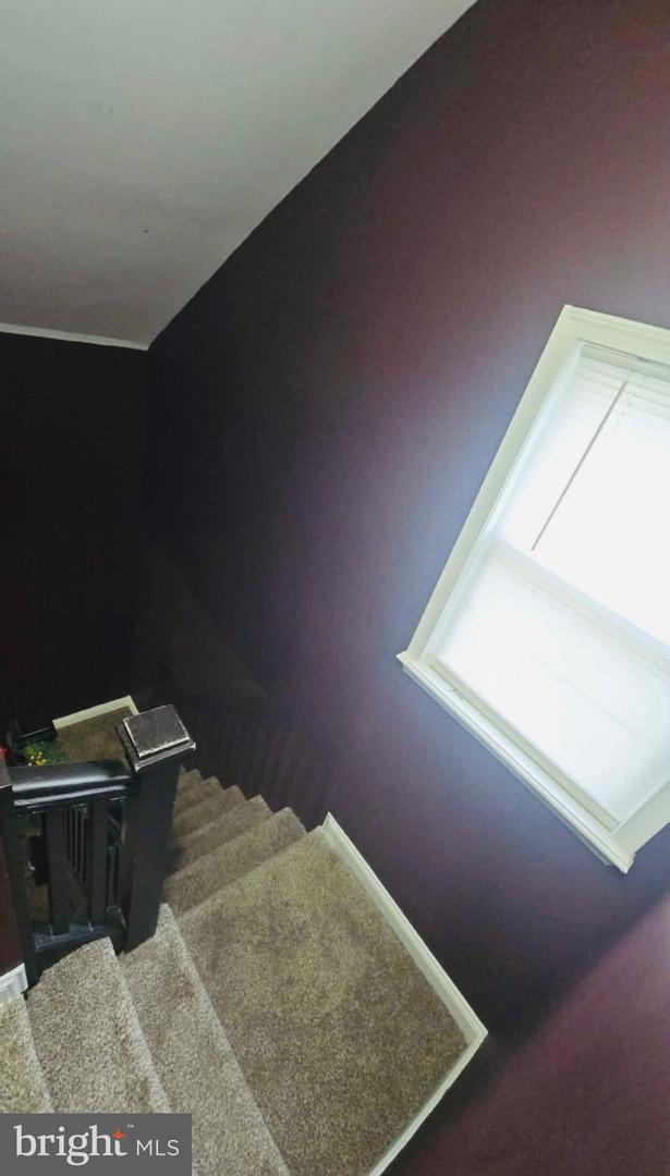 4117 Westchester Rd Property Photo 30