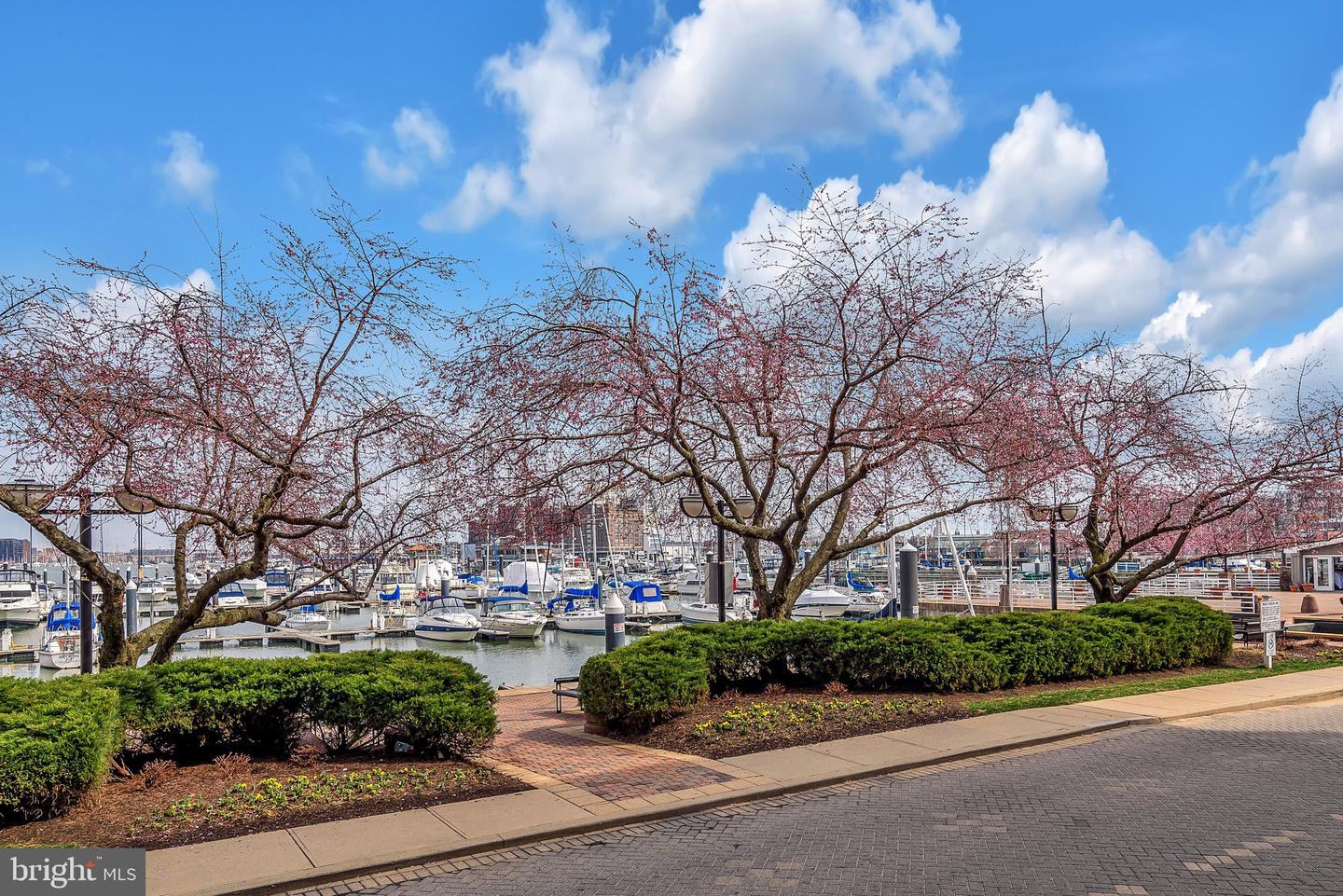 1236 Harbor Island Walk Property Photo 67